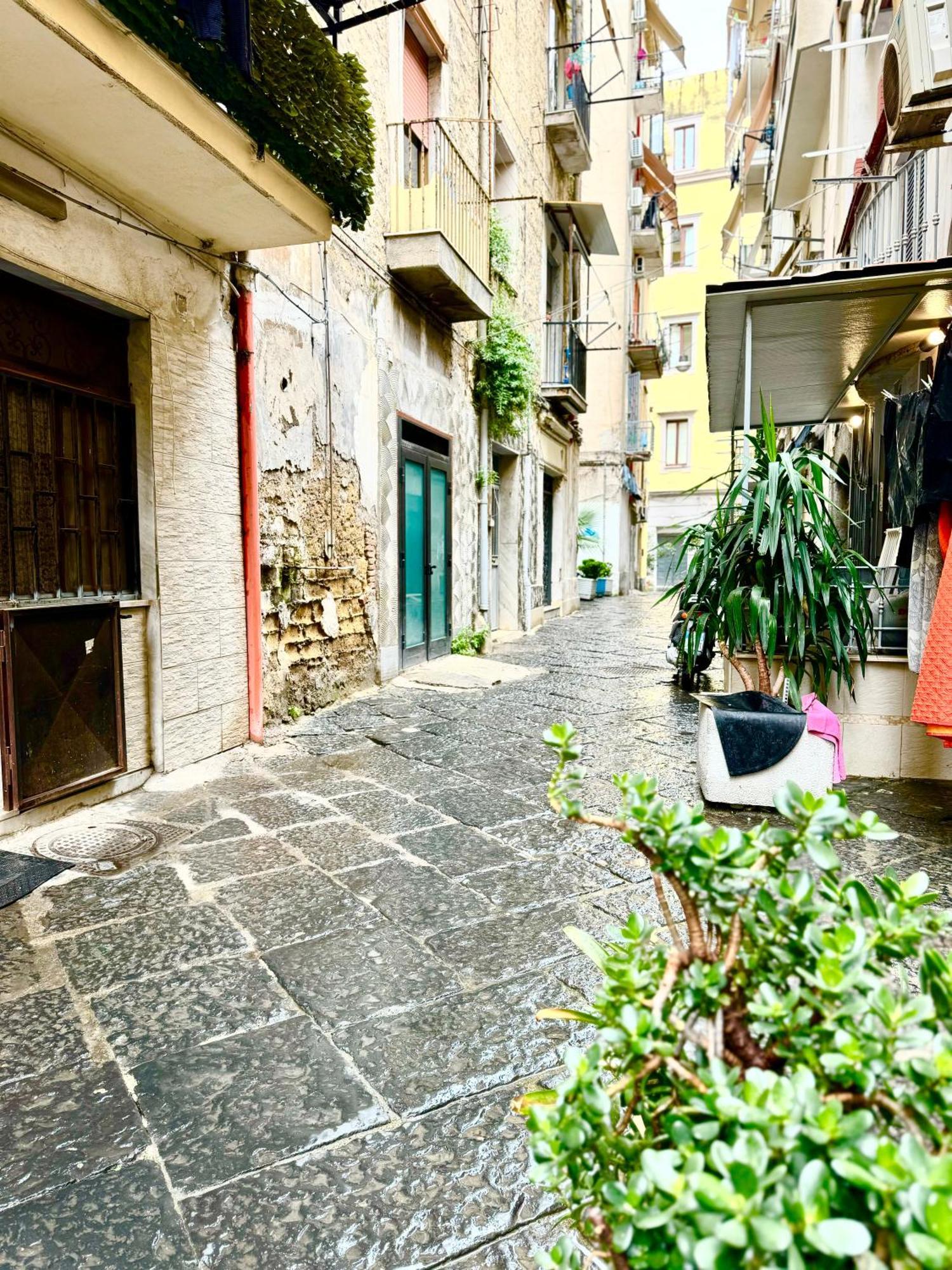 나폴리 Vesuvius House 아파트 외부 사진